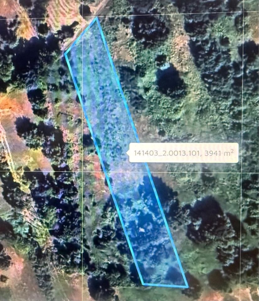 Działka budowlana Nowe Gniewniewice. Zdjęcie 4