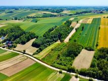 Działka rolno-budowlana Pałecznica. Zdjęcie 3