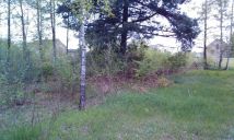 Działka rolno-budowlana Stefanówka. Zdjęcie 4