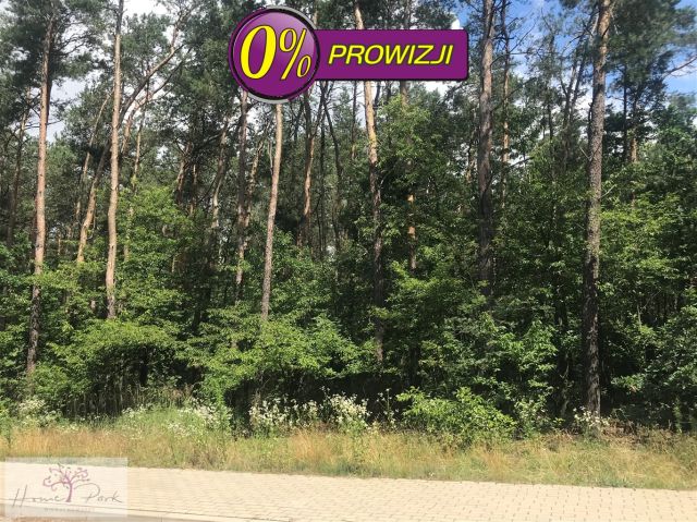 Działka budowlana Romanów. Zdjęcie 1