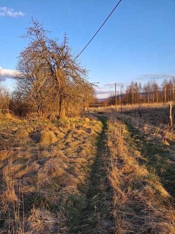 Działka budowlana Wolimierz. Zdjęcie 7