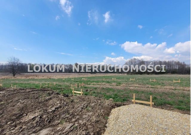 bliźniak, 5 pokoi Pawłowice. Zdjęcie 8