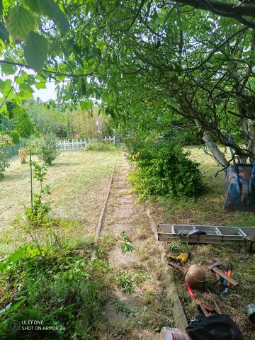 Działka rod Grzybiany, ul. Koskowicka. Zdjęcie 1