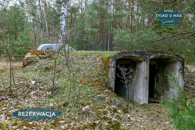 Działka leśna Kije. Zdjęcie 14