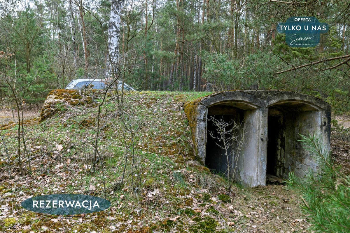 Działka leśna Kije. Zdjęcie 14