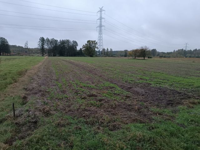 Działka rolna Olszyc-Folwark. Zdjęcie 1