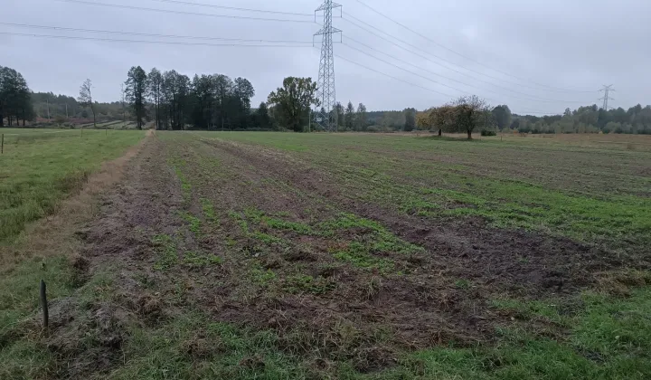 Działka rolna Olszyc-Folwark