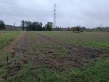 Działka rolna Olszyc-Folwark