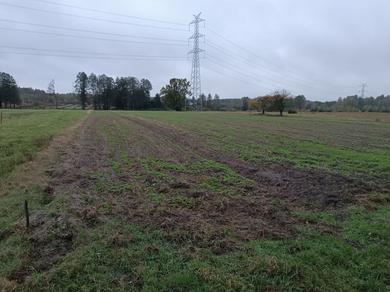 Działka rolna Olszyc-Folwark