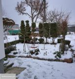 Mieszkanie 2-pokojowe Ciechanów, ul. Śmiecińska. Zdjęcie 2