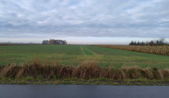 Działka rolno-budowlana Mokrsko