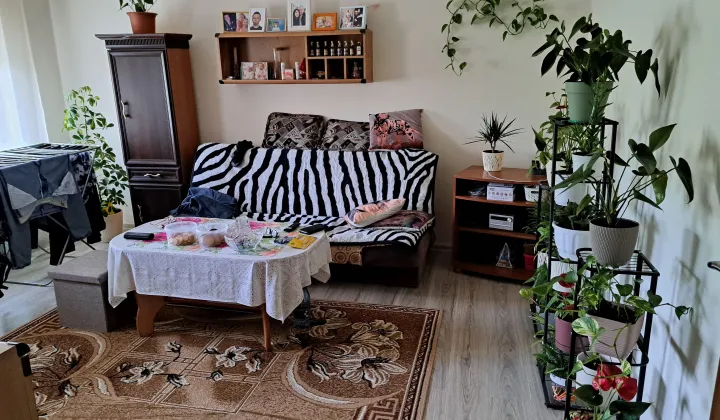 Mieszkanie 2-pokojowe Wałbrzych Piaskowa Góra, ul. Jacka Malczewskiego