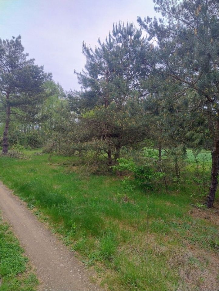 Działka budowlana Władysławowo. Zdjęcie 6