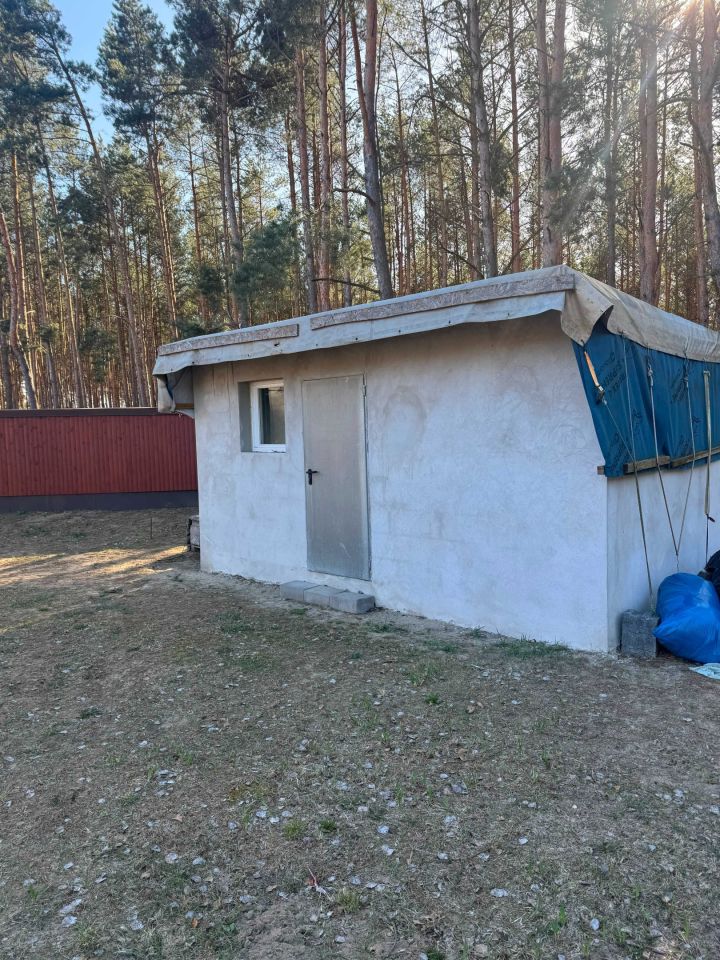 Działka rod Toruń Kaszczorek. Zdjęcie 2