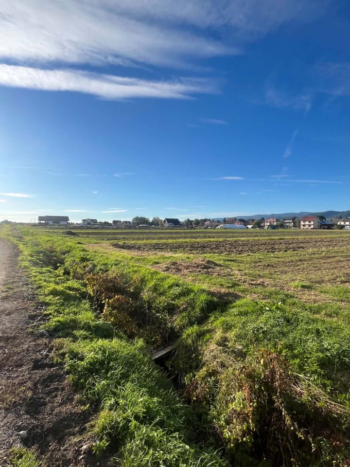 Działka rolno-budowlana Frydman, Działka pod zabudowę 397 m² – Frydman, okolice Jeziora Czorsztyń. Zdjęcie 5