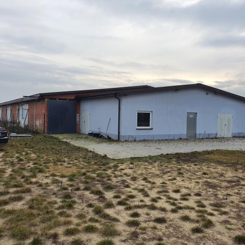 Hala/magazyn Niemojew Stary Niemojew. Zdjęcie 1