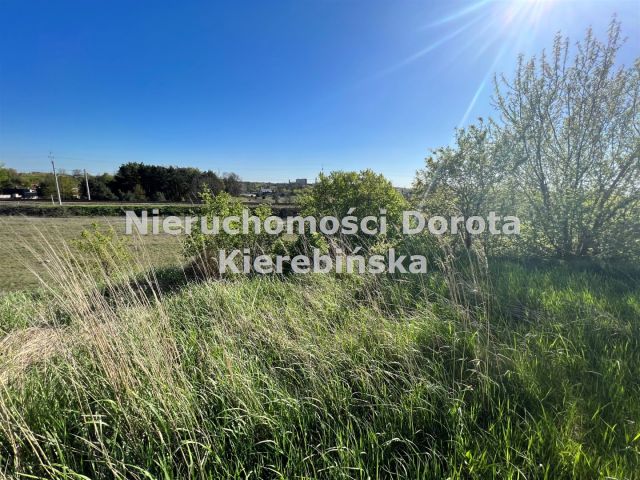 Działka Tomaszów Mazowiecki, ul. Piaskowa. Zdjęcie 10
