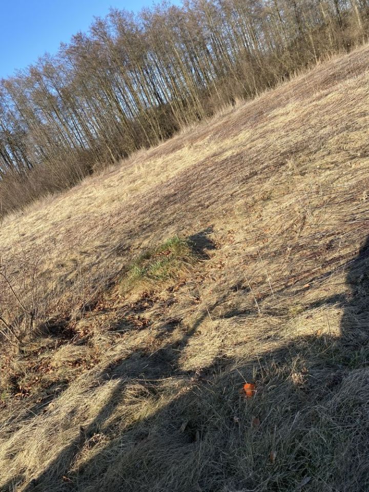 Działka budowlana Drogoszowice. Zdjęcie 6