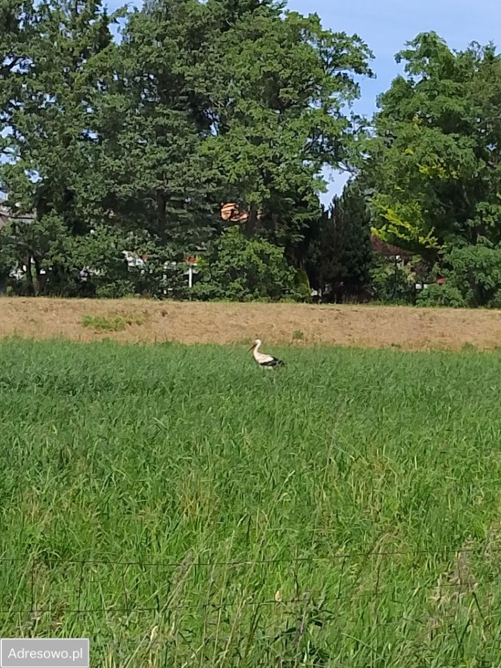 Działka budowlana Darłowo, ul. Wierzbowa. Zdjęcie 8