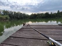 Działka inwestycyjna Kwiatków. Zdjęcie 2