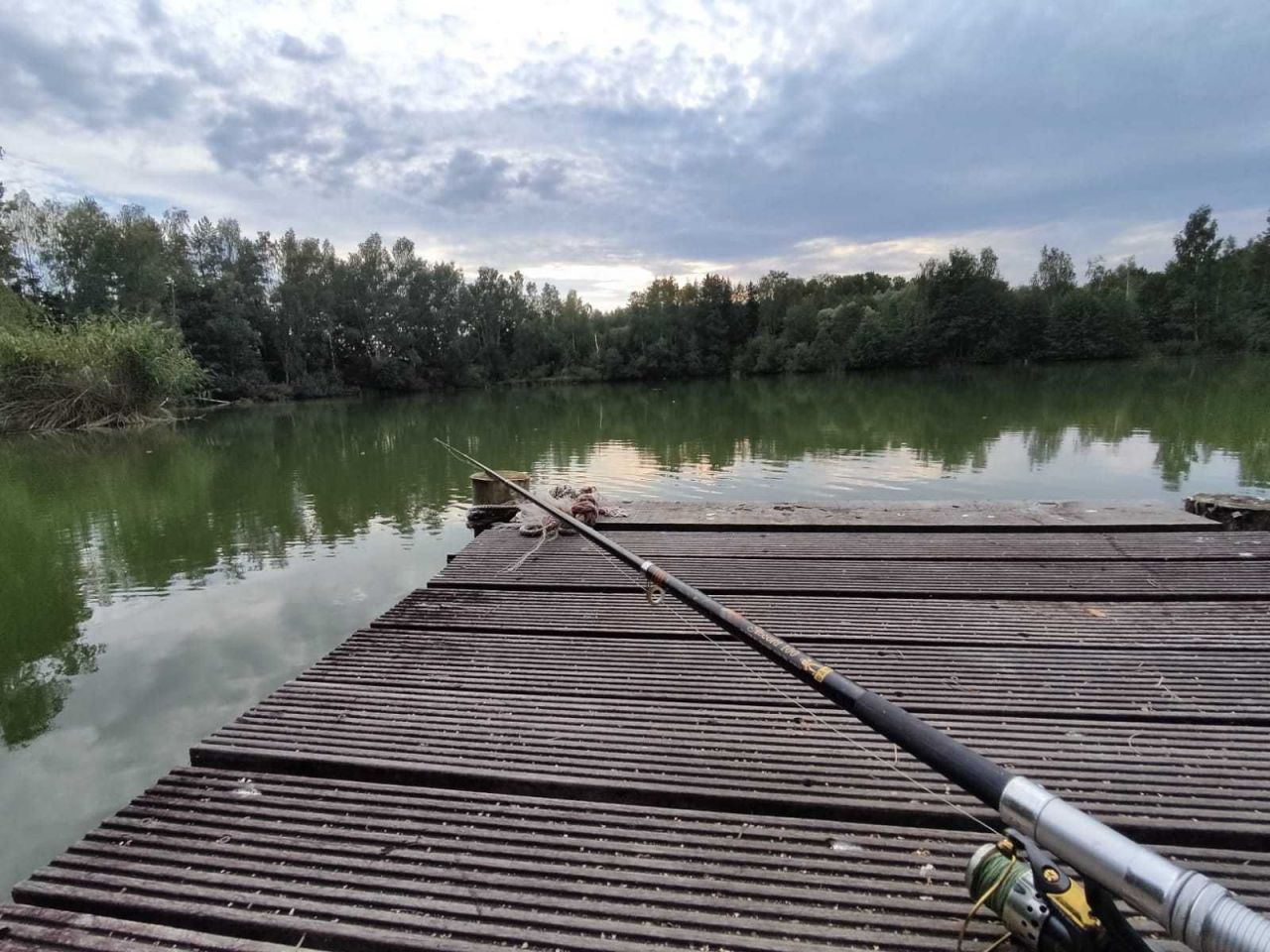 Działka inwestycyjna Kwiatków. Zdjęcie 3