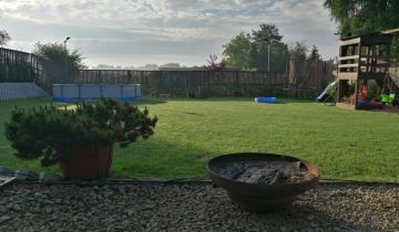 Działka rod Chorzów Maciejkowice, ul. Michałkowicka