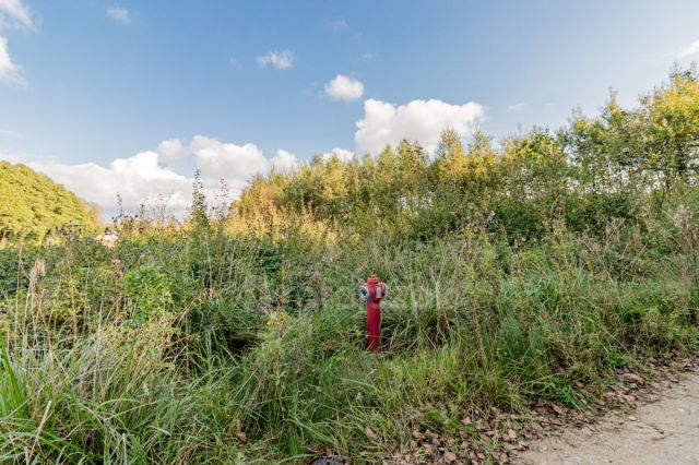 Działka rekreacyjna Choczewo, ul. Jeziorna. Zdjęcie 7