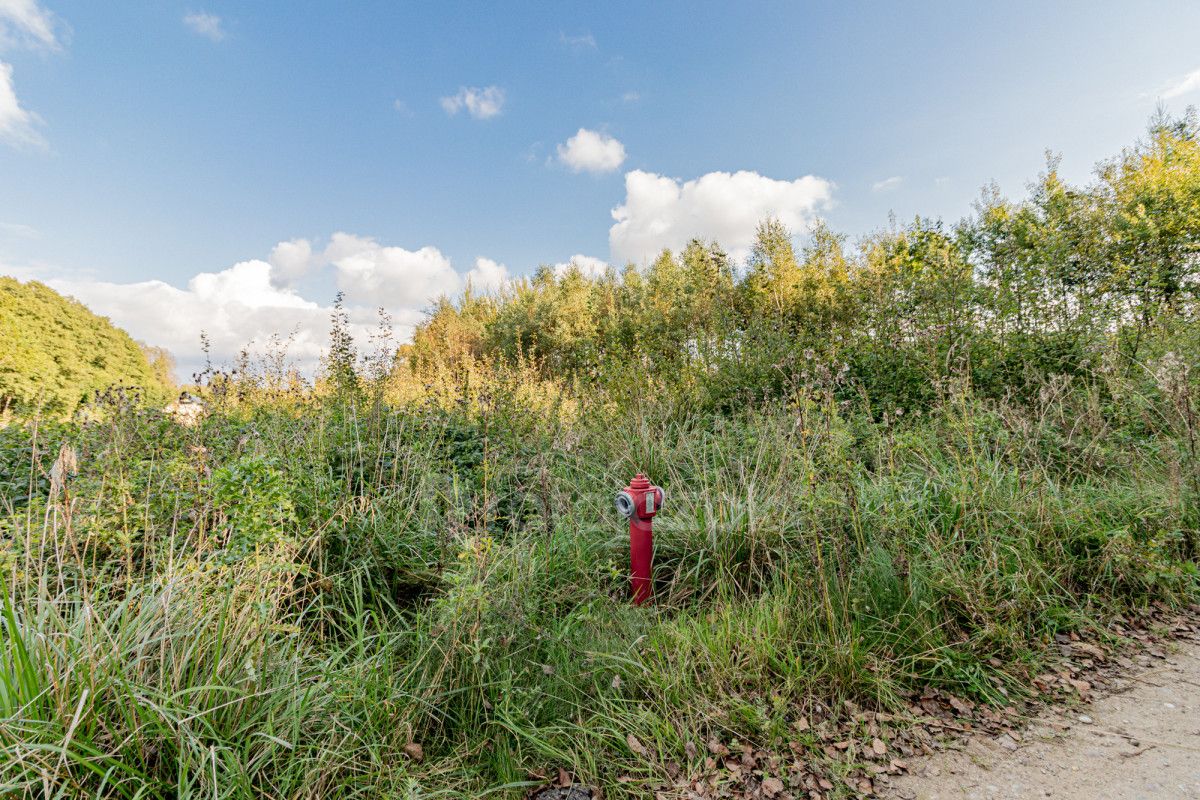 Działka rekreacyjna Choczewo, ul. Jeziorna. Zdjęcie 7