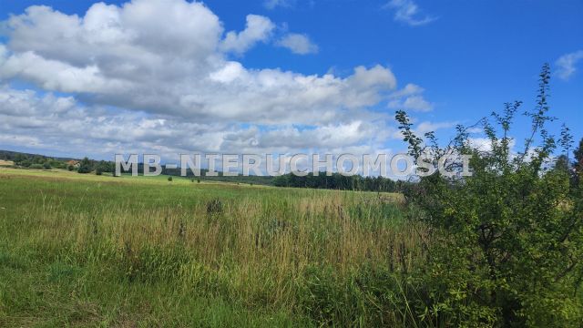 Działka rolna Żardeniki. Zdjęcie 3