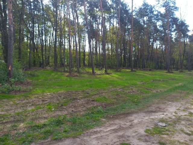 Działka rekreacyjna Mrozy, ul. Adama Mickiewicza. Zdjęcie 2