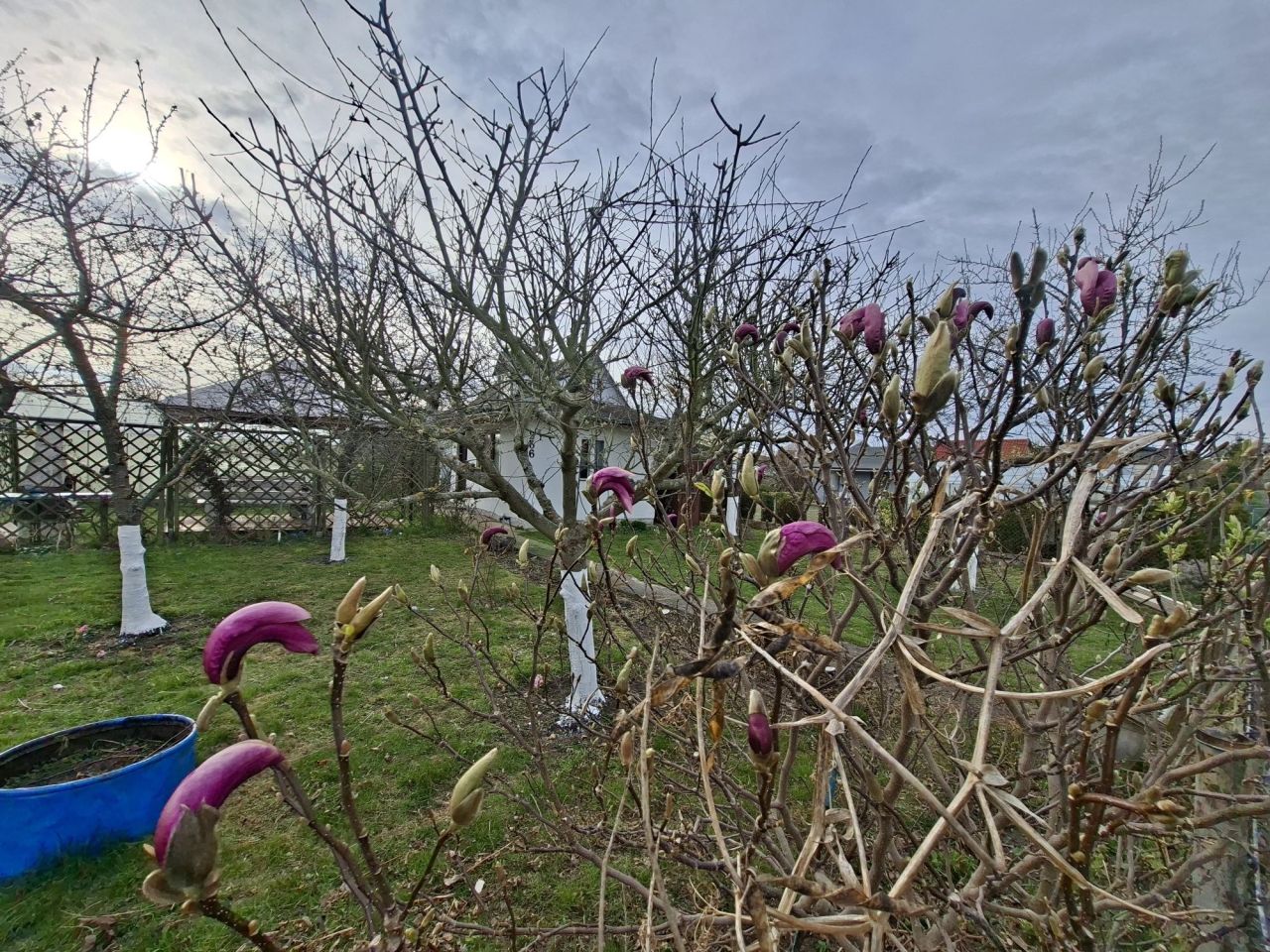 Działka rod Kołobrzeg. Zdjęcie 4