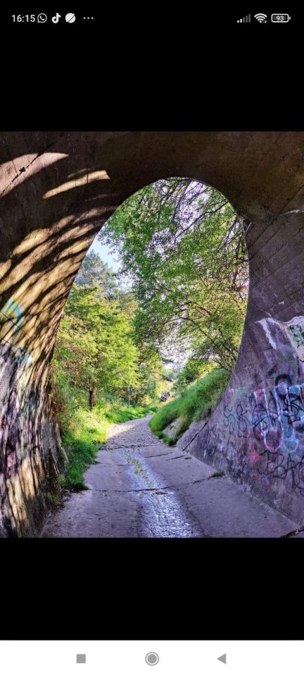 Działka rolna Chłapowo. Zdjęcie 4