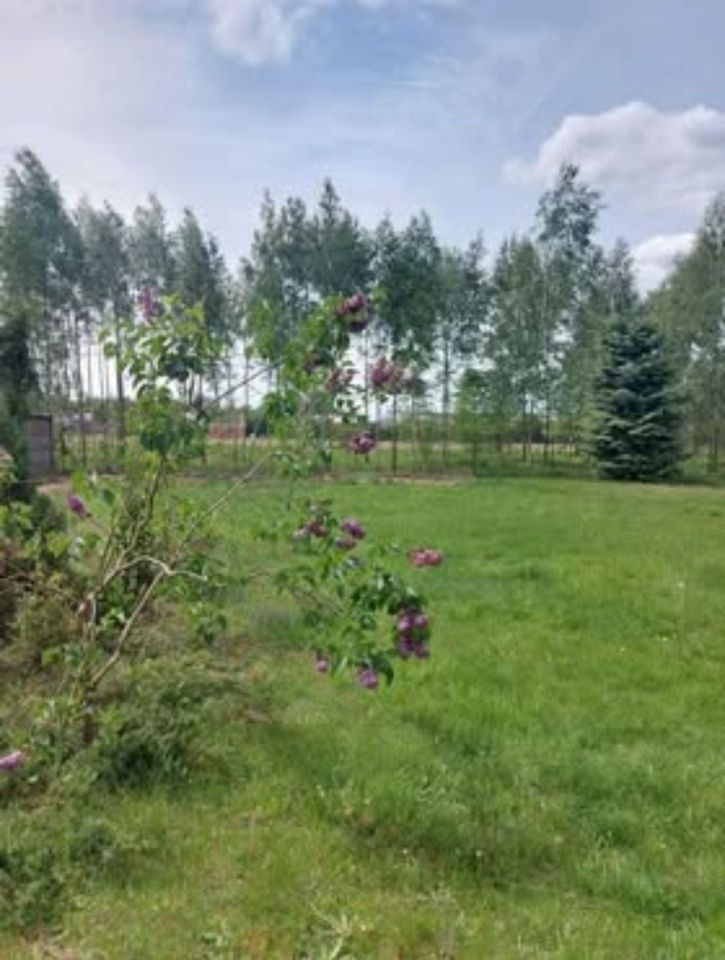 Działka budowlana Zgierz Proboszczewice, ul. Ogrodnicza. Zdjęcie 8