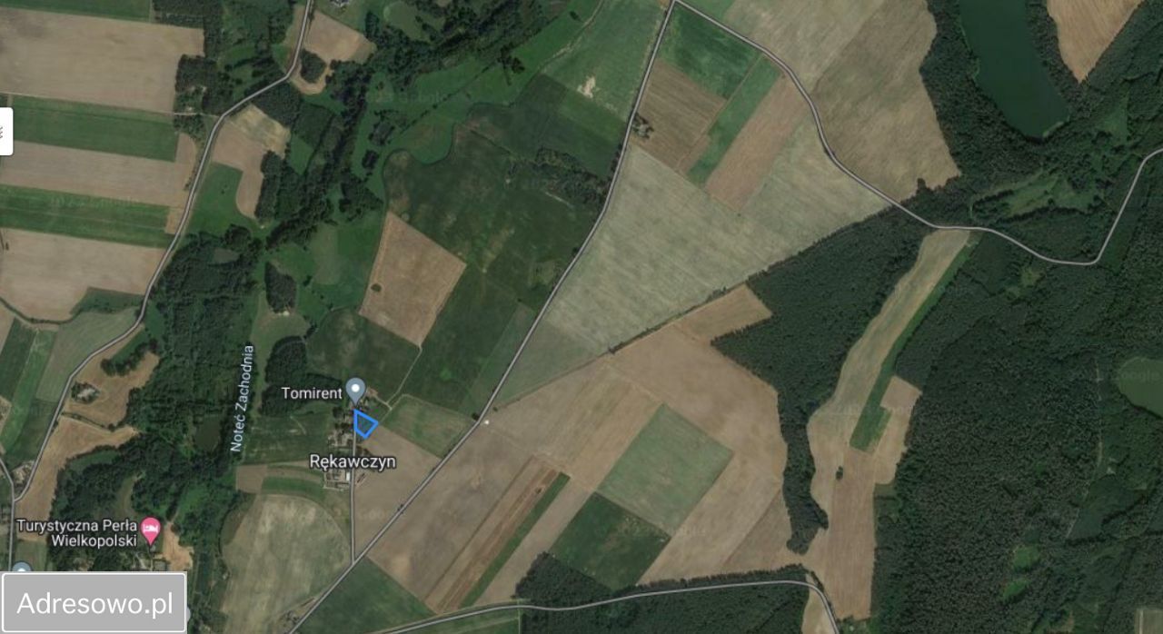 Działka rolna Rękawczyn. Zdjęcie 4