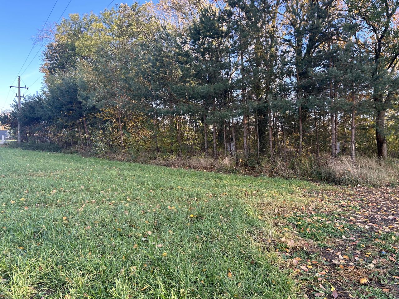 Działka rolno-budowlana Imiołki. Zdjęcie 6