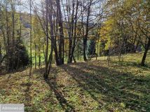 Działka Stróża. Zdjęcie 3