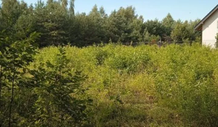 Działka budowlana Zgierz