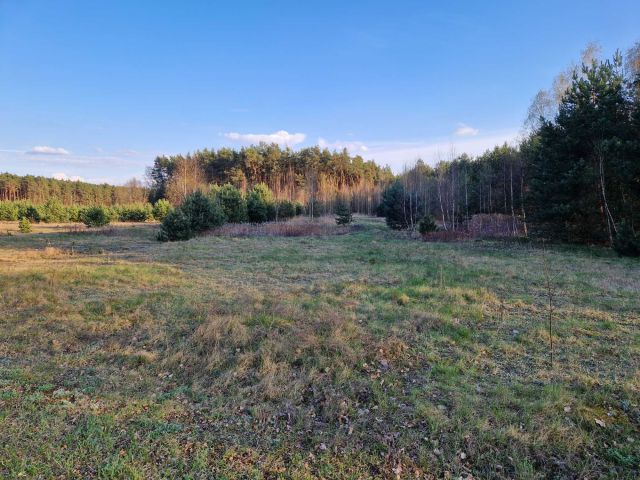 Działka budowlana Przybyłów. Zdjęcie 1