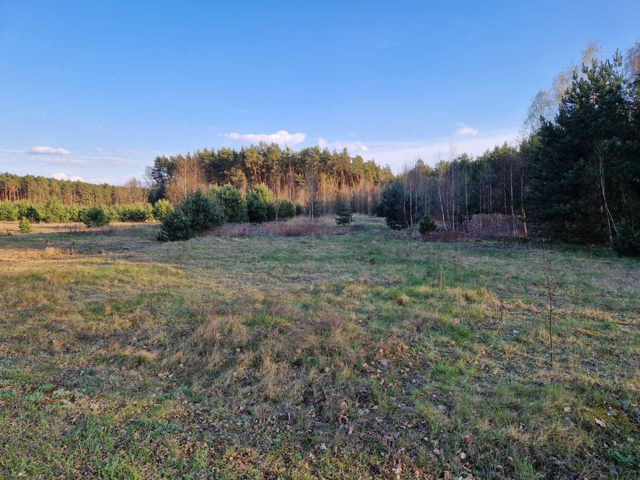 Działka budowlana Przybyłów