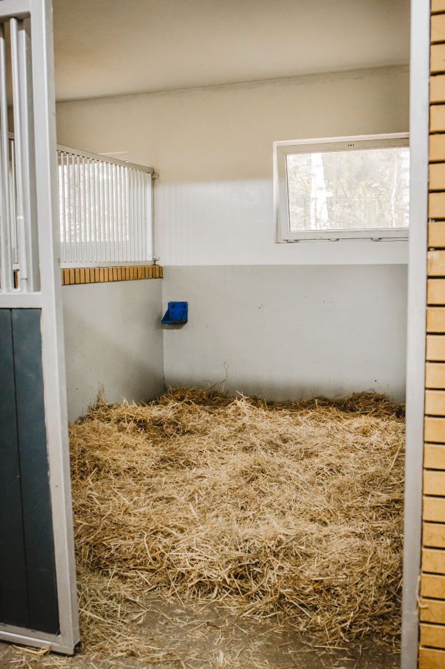 Nieruchomość komercyjna Kębliny, ul. Włościańska. Zdjęcie 15