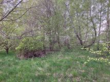 Działka budowlana Jagatowo, ul. Maślakowa. Zdjęcie 1