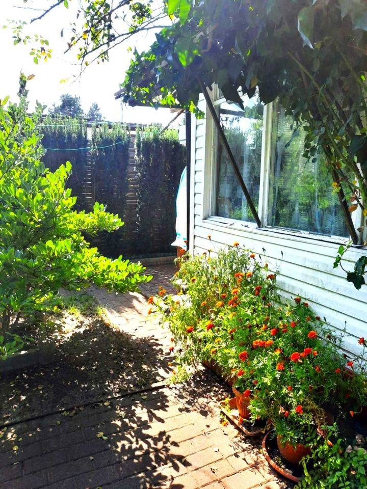 Działka rod Warszawa Wawer, ul. Borowiecka. Zdjęcie 5