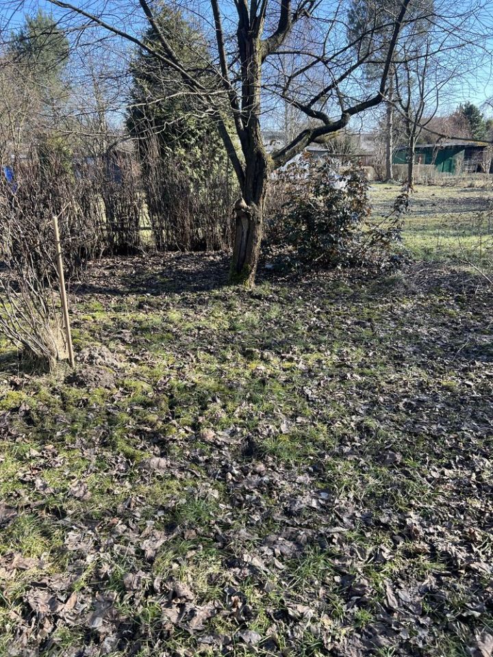 Działka rod Łódź Bałuty. Zdjęcie 4