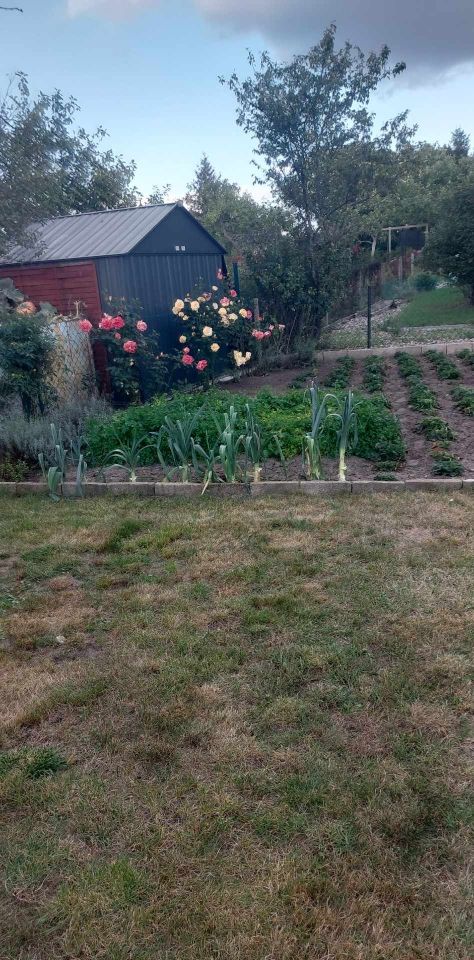 Działka rod Grochowiska. Zdjęcie 39