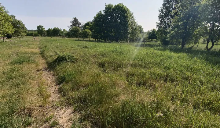 Działka budowlana Biskupiec