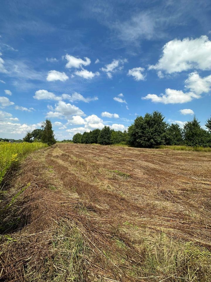 Działka budowlana Wygoda. Zdjęcie 2