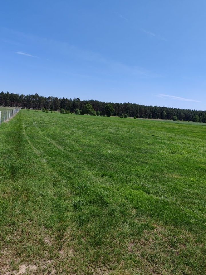 Działka rolna Marunowo. Zdjęcie 7