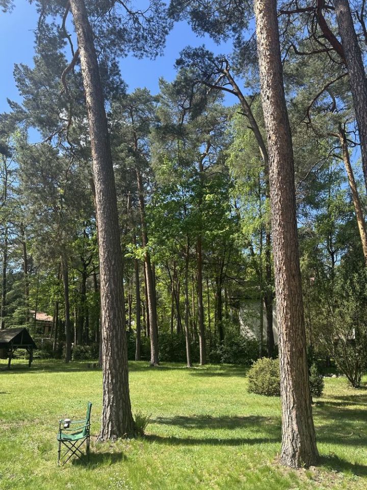 Działka inwestycyjna Konstancin-Jeziorna, ul. Potulickich. Zdjęcie 7