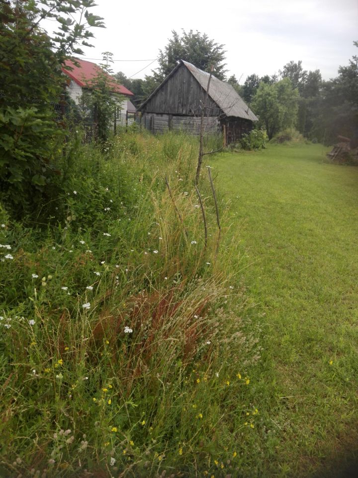Działka budowlana Stare Wądołki. Zdjęcie 2