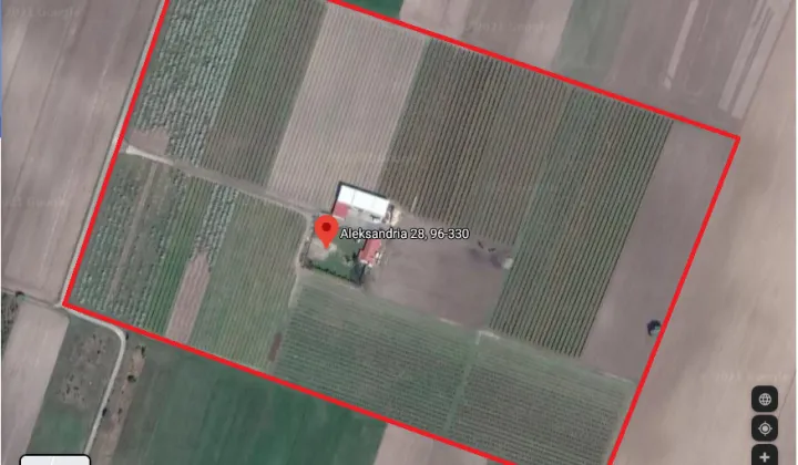 Działka rolna Aleksandria